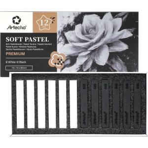 image:imageArtecho 50pcs Soft Pastels 48 Colors Including 4 Fluorescent Colors Extra Free Black amp White Square Chalk for Drawing Blending Layering Shading Pastels Art Supplieswhite and black